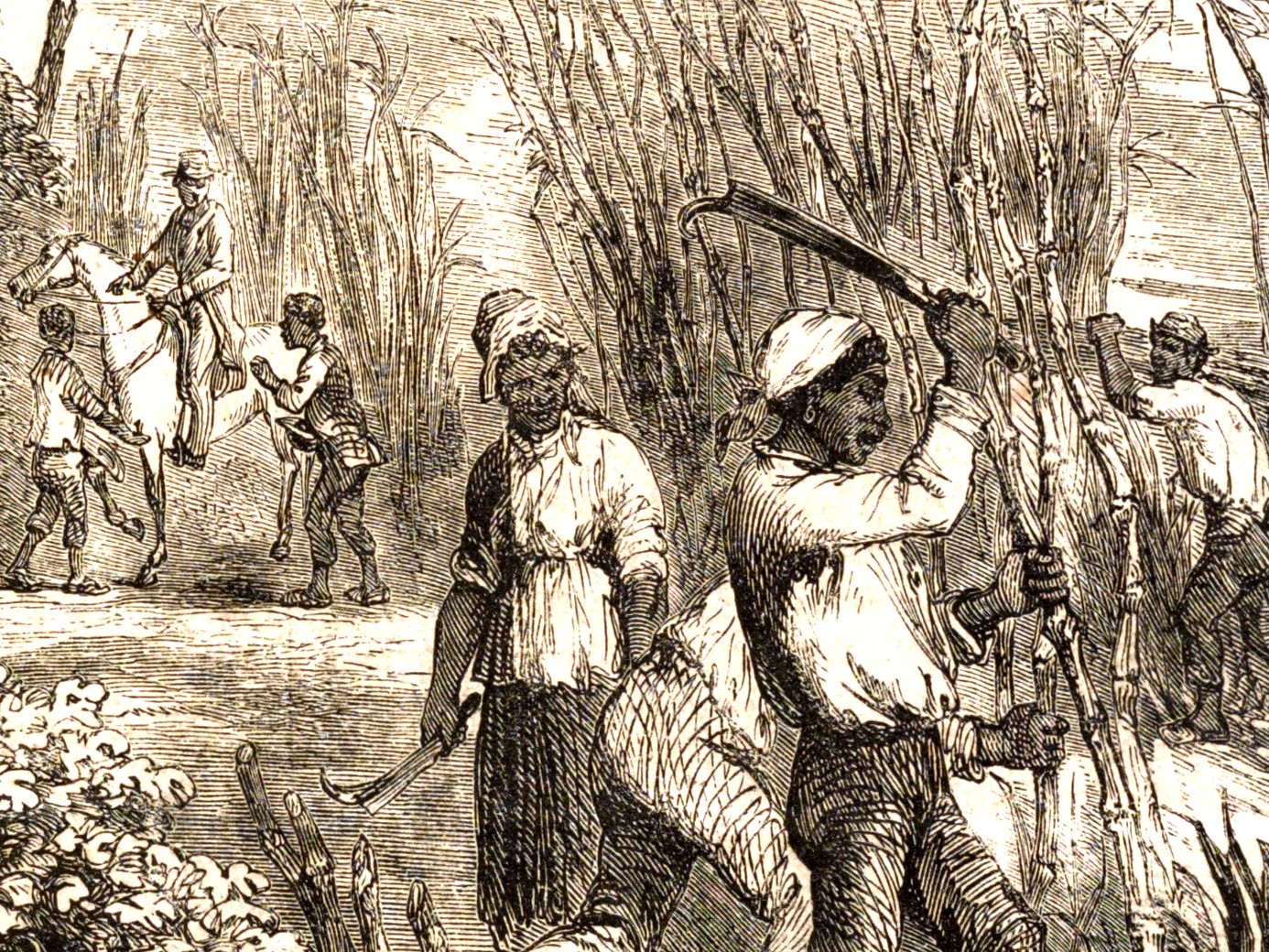 Détail d’une gravure de Hammatt Billings, « State of Louisiana », à la une du magazine Ballou’s Pictorial, 22 décembre 1855 (Source : Bibliothèque du Congrès des États-Unis; image dans le domaine public)